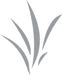 Parkview Christian Church - Orland Park Logo